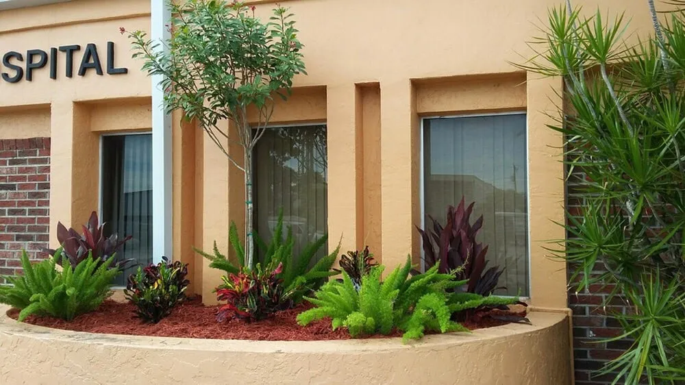 Top-rated landscaping services in Fort Myers, FL - Lee County Landscaping