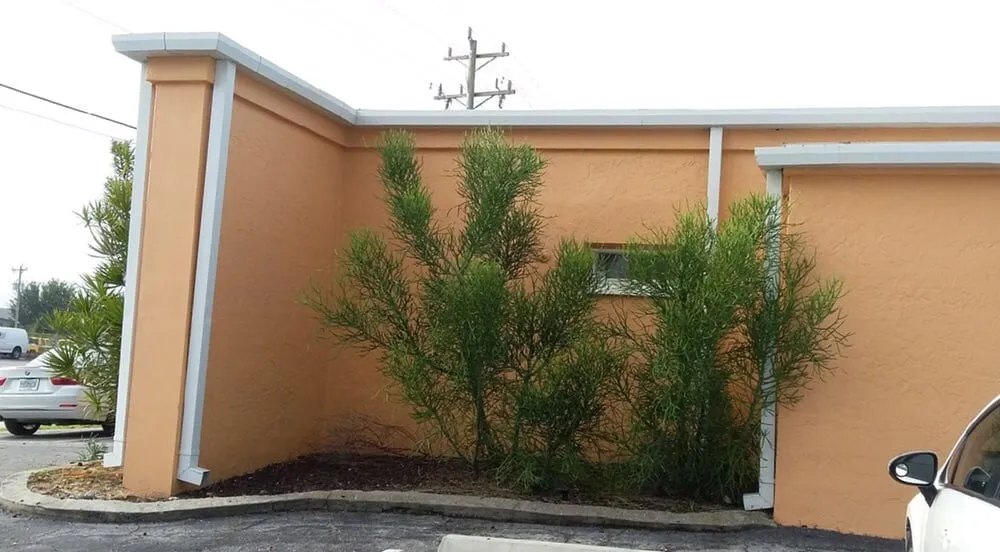 Local yard cleanup service experts serving Fort Myers, FL - Lee County Landscaping