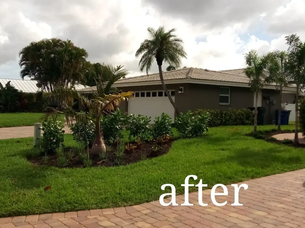 Local yard maintenance in Fort Myers, FL - Lee County Landscaping