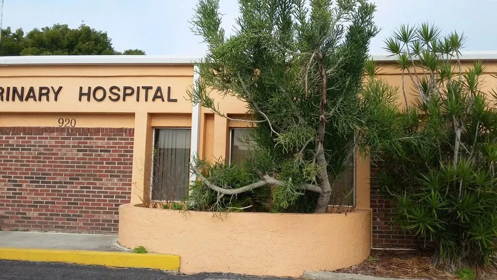 Affordable yard cleanup service experts serving Fort Myers, FL - Lee County Landscaping