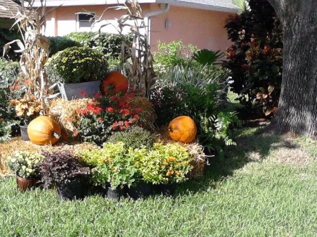 Trusted yard cleanup service in Fort Myers, FL - Lee County Landscaping