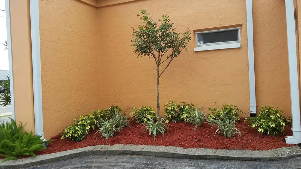 Reliable residential landscaping in Fort Myers, FL - Lee County Landscaping