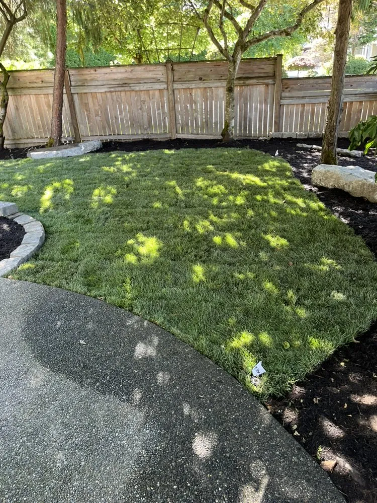 Local yard cleanup service experts serving Snohomish, WA - Lee Joner Construction