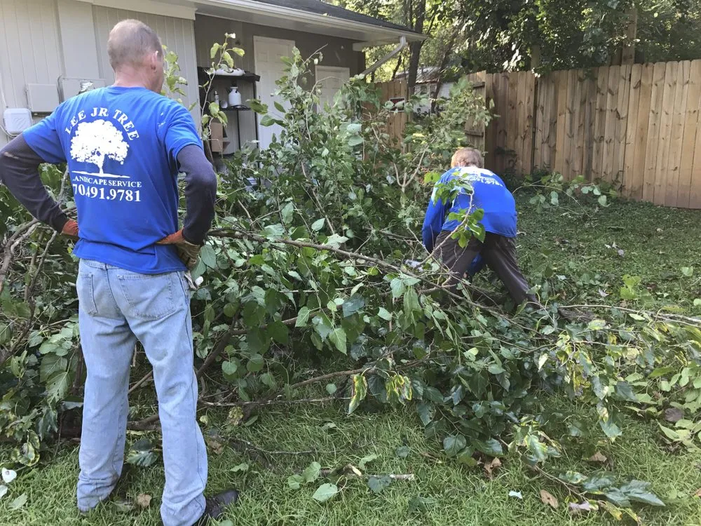 Top-rated yard maintenance in Tucker, GA - Lee Jr Tree & Landscaping