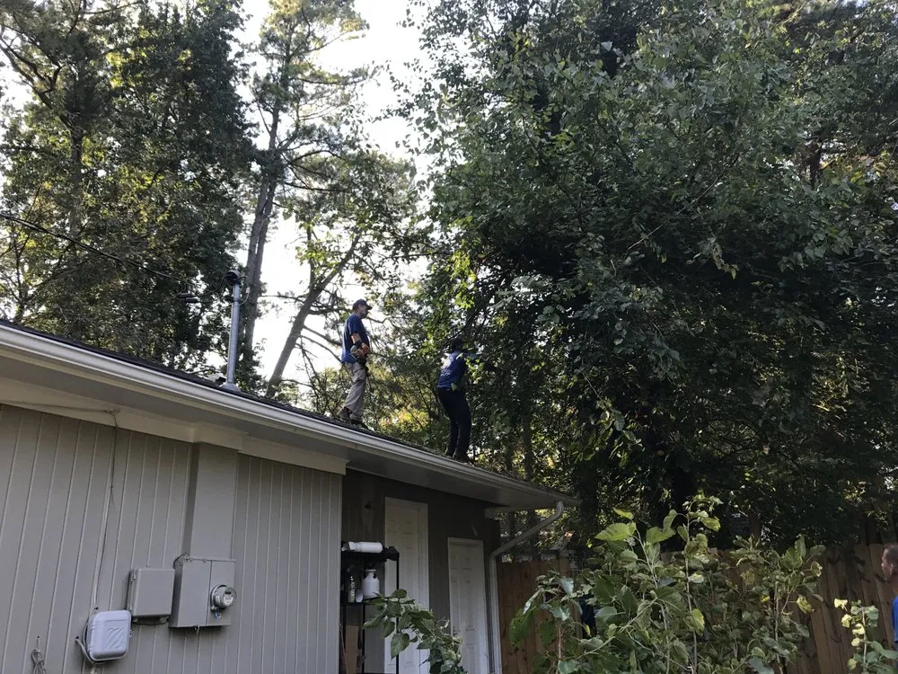 Affordable yard cleanup service in Tucker, GA - Lee Jr Tree & Landscaping