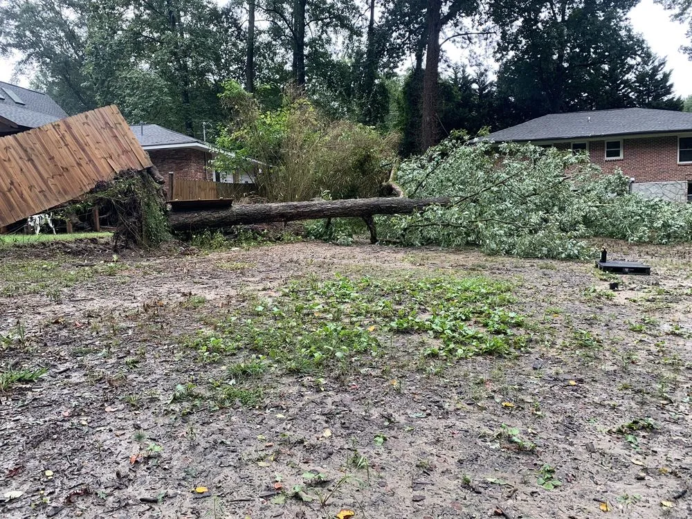 Reliable lawn care service for beautiful yards in Tucker, GA by Lee Jr Tree & Landscaping