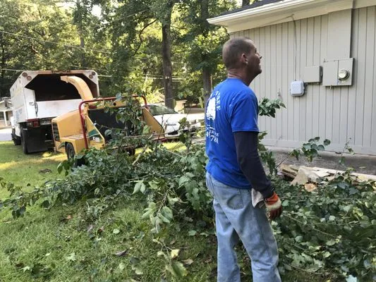 Lee Jr Tree & Landscaping