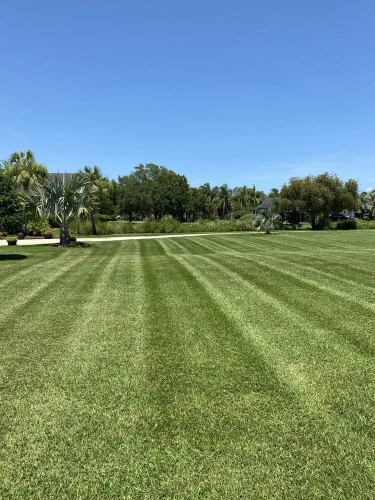 Reliable yard maintenance for homes across Saint Augustine, FL - Lee Landscapes