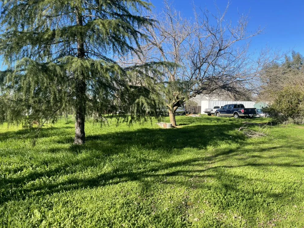 Reliable yard maintenance in Redding, CA - Lee Landscaping