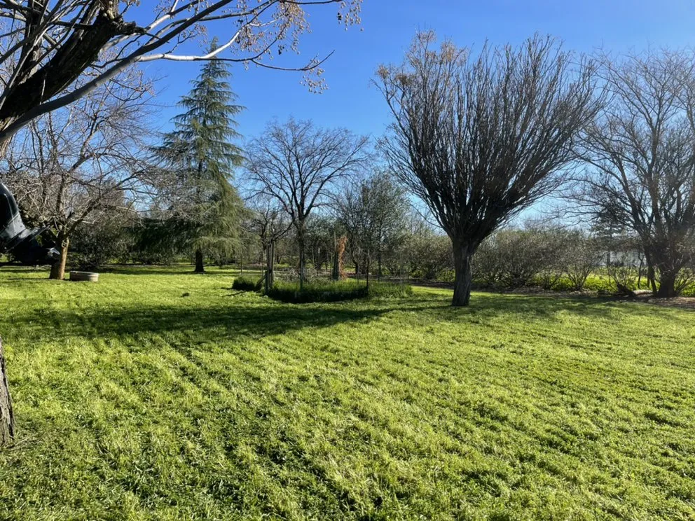 Local garden landscaping in Redding, CA - Lee Landscaping