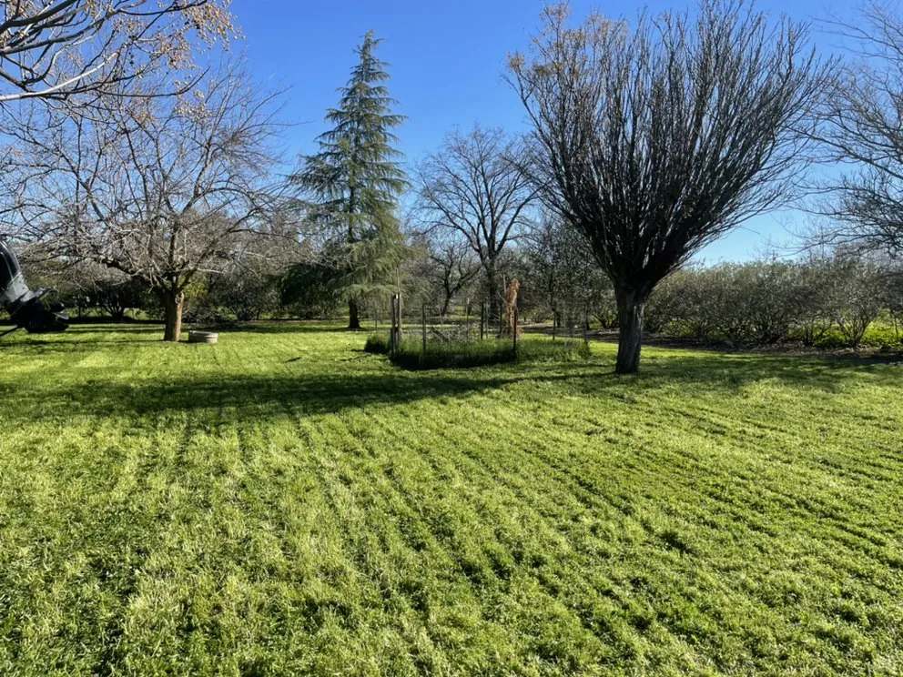 Top-rated yard cleanup service near you across Redding, CA - Lee Landscaping