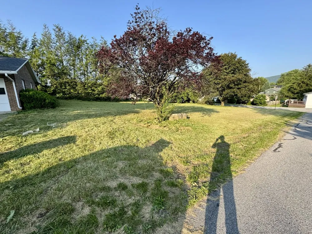 Trusted lawn mowing service in Altoona, PA by Lee Lawncare