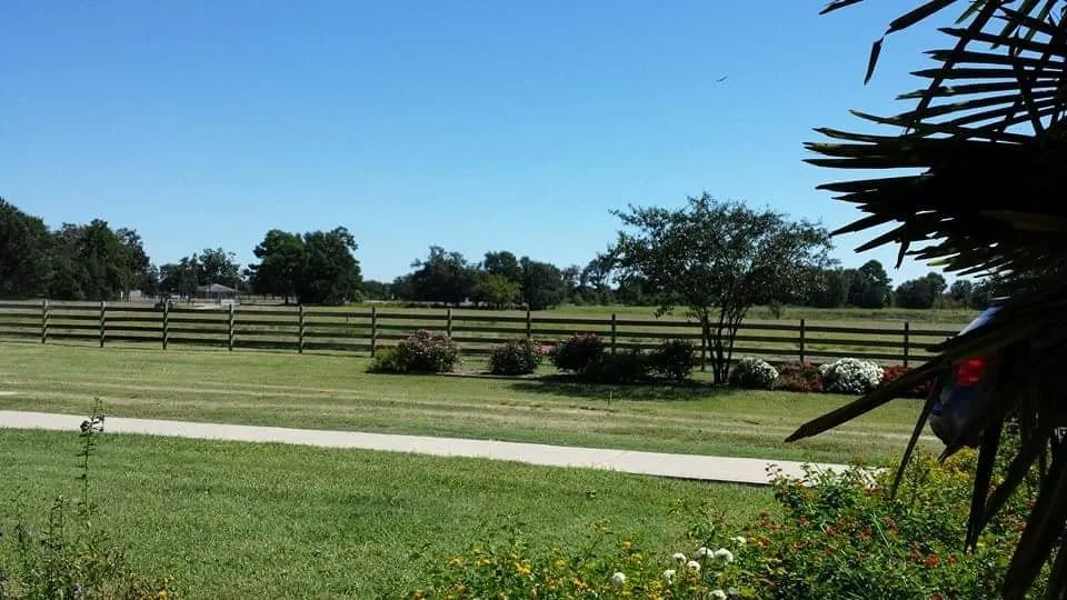 Top-rated lawn mowing service for year-round maintenance across Normangee, TX - Lee Professional Services, LLC