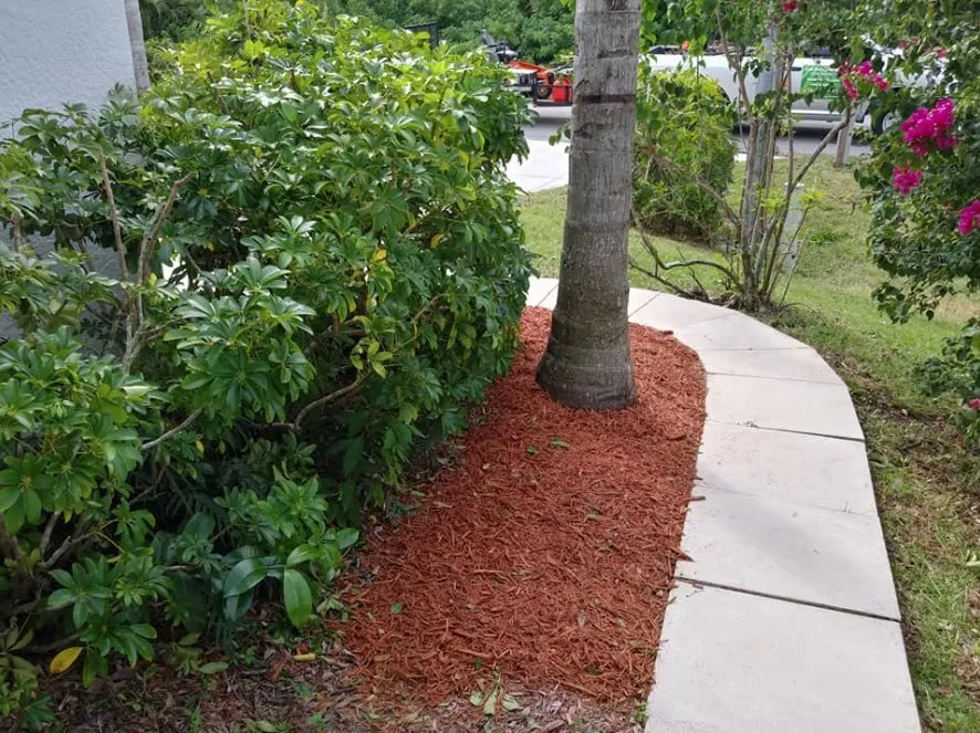 Expert landscape design for beautiful yards in Naples, FL by Lee The Lawn Man