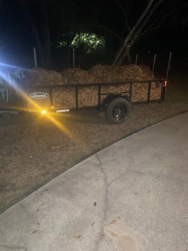 Local yard cleanup service in Allendale, SC by Leeboy Lawn Care Services