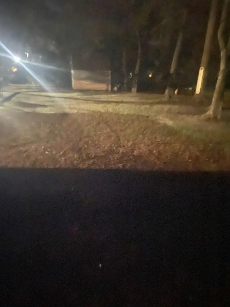 Trusted yard cleanup service experts serving Allendale, SC - Leeboy Lawn Care Services