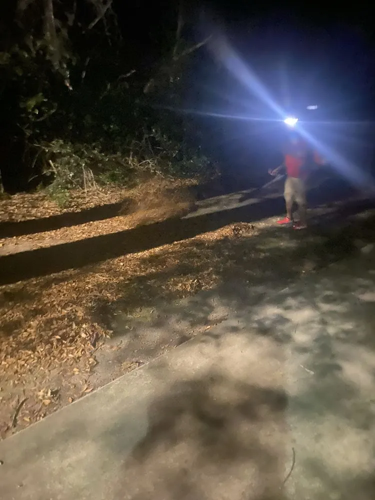 Top-rated lawn mowing service in Allendale, SC - Leeboy Lawn Care Services