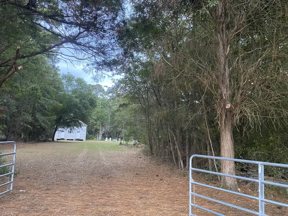 Top-rated residential landscaping for year-round maintenance across Allendale, SC - Leeboy Lawn Care Services