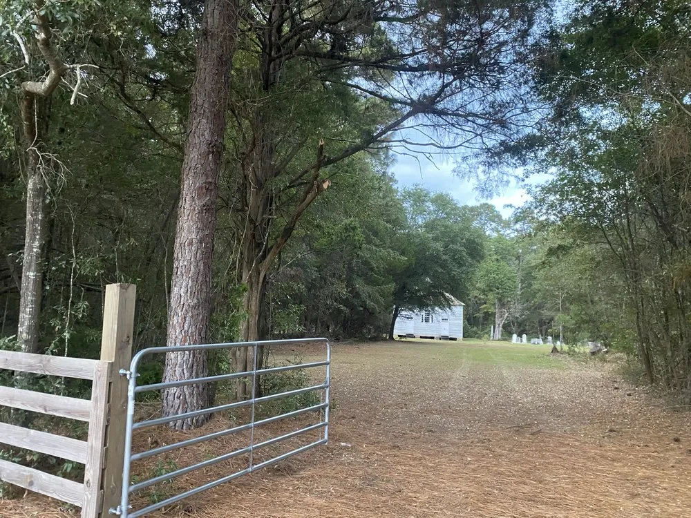 Trusted lawn care service experts serving Allendale, SC - Leeboy Lawn Care Services