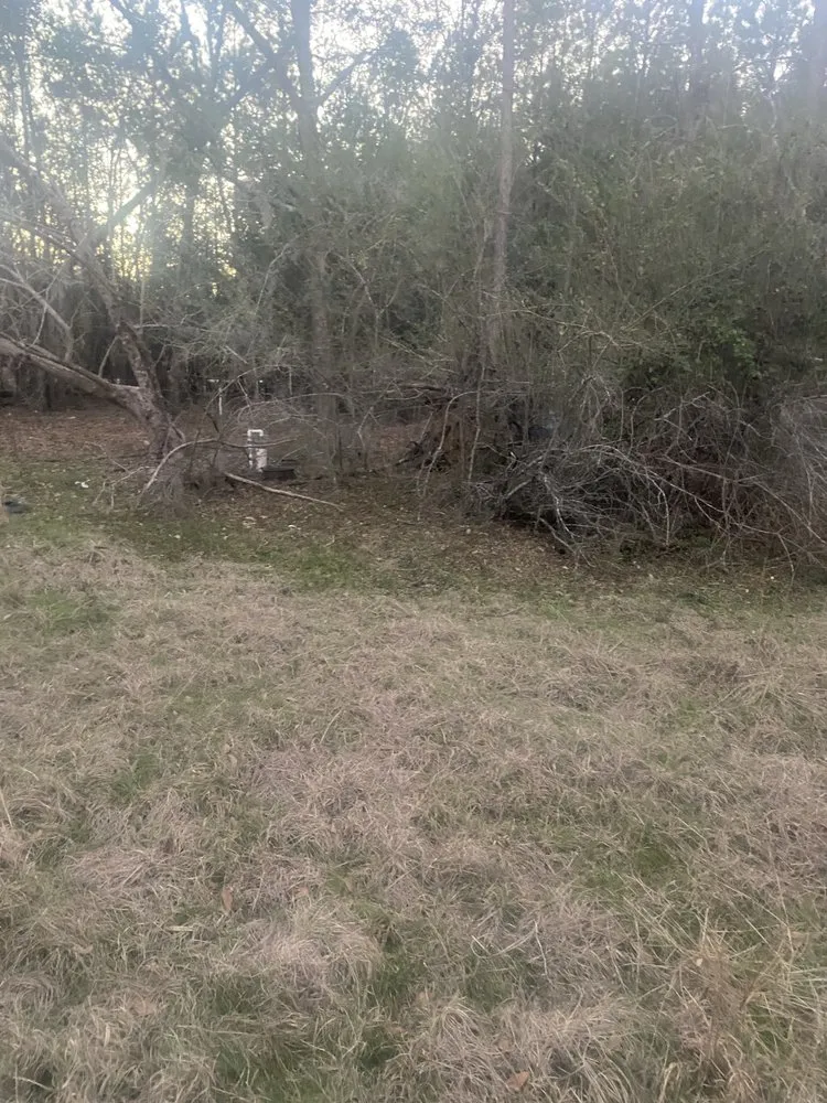 Affordable yard cleanup service in Allendale, SC - Leeboy Lawn Care Services