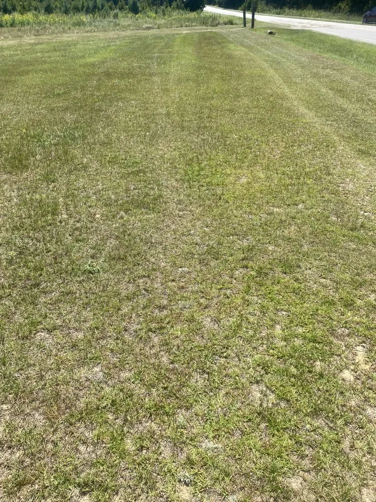 Expert lawn mowing service experts serving Allendale, SC - Leeboy Lawn Care Services