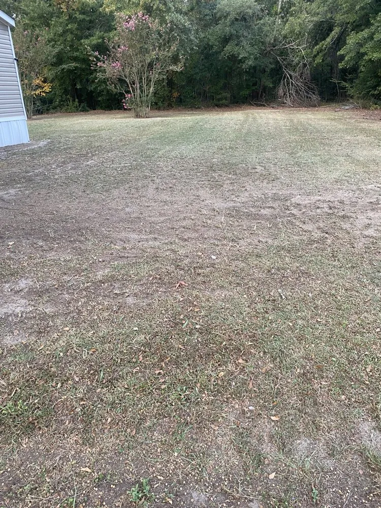 Trusted landscape design for year-round maintenance in Allendale, SC by Leeboy Lawn Care Services