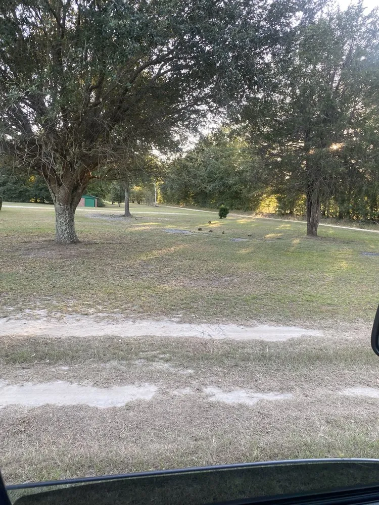 Local lawn mowing service experts serving Allendale, SC - Leeboy Lawn Care Services