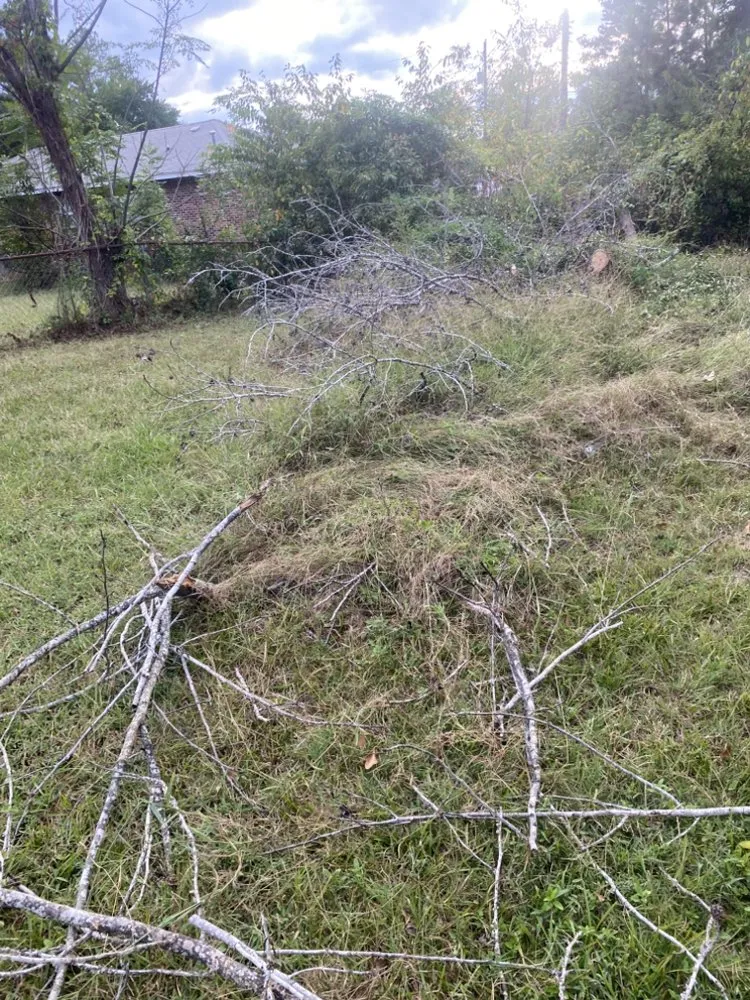 Top-rated yard cleanup service for beautiful yards across Allendale, SC - Leeboy Lawn Care Services