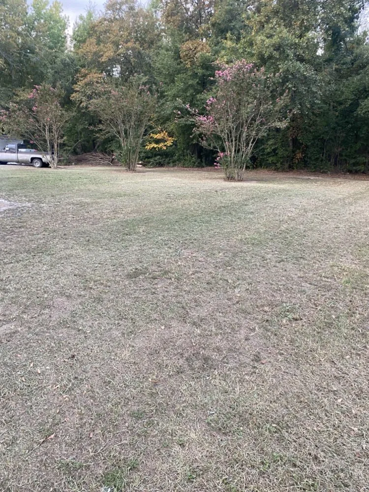 Professional landscape design for outdoor upgrades in Allendale, SC by Leeboy Lawn Care Services