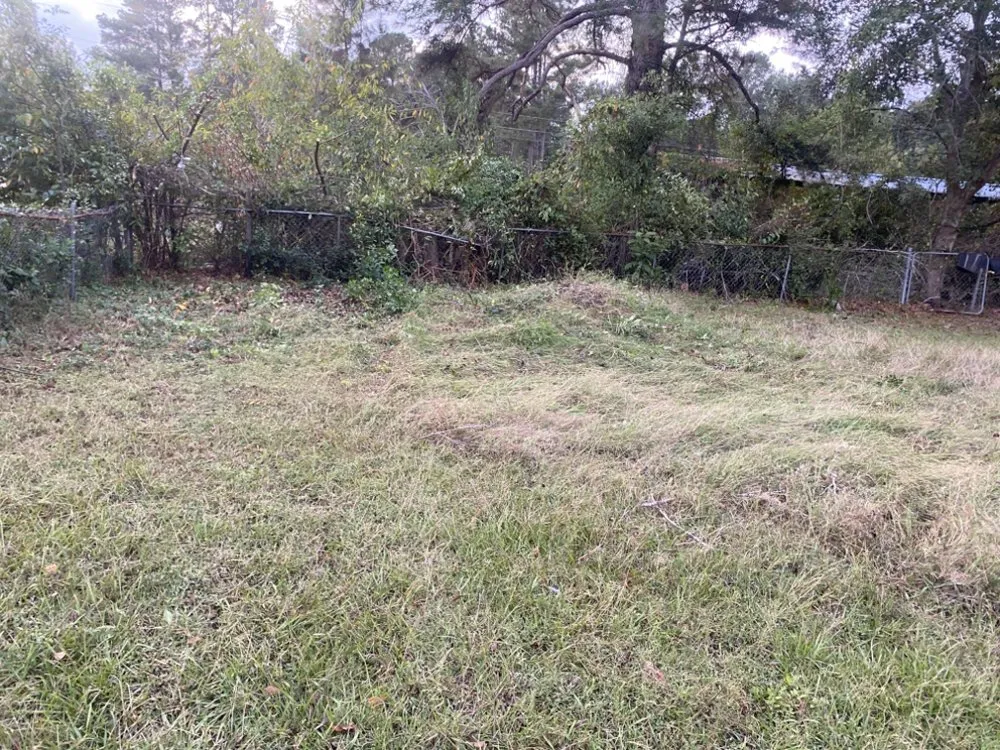 Trusted outdoor landscaping experts serving Allendale, SC - Leeboy Lawn Care Services