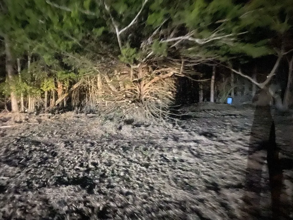 Affordable garden landscaping in Allendale, SC by Leeboy Lawn Care Services