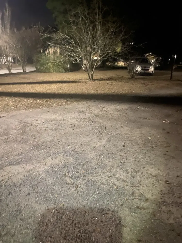 Affordable yard cleanup service near you in Allendale, SC by Leeboy Lawn Care Services