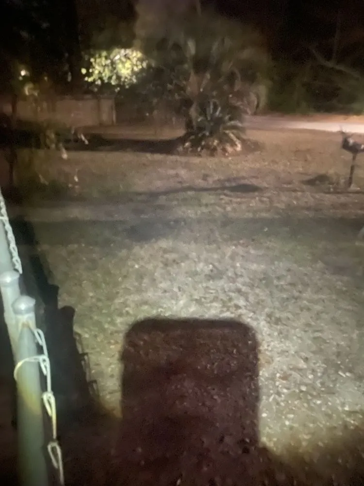 Affordable yard cleanup service in Allendale, SC - Leeboy Lawn Care Services