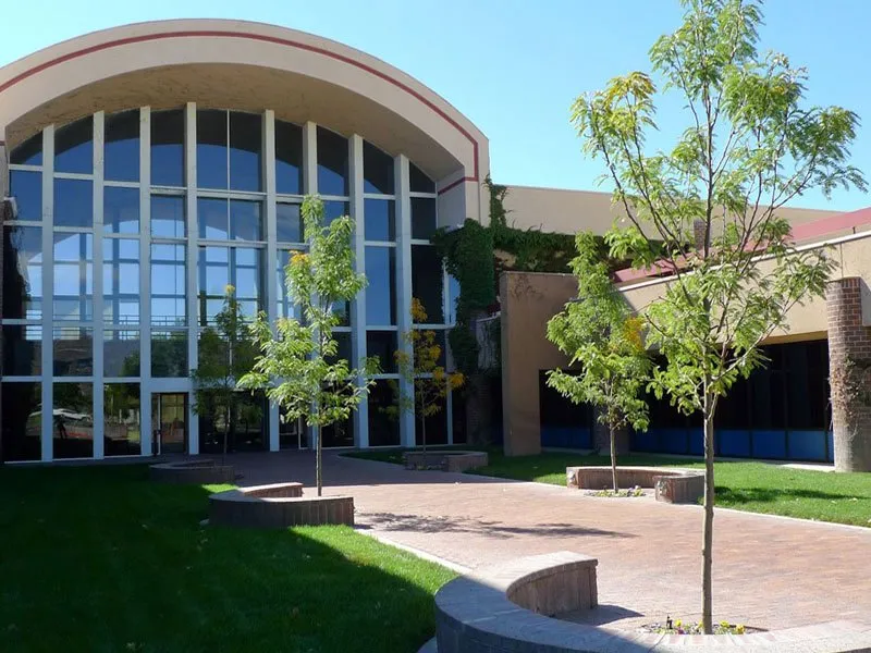 Affordable yard cleanup service in Albuquerque, NM - Leeco Grounds Management