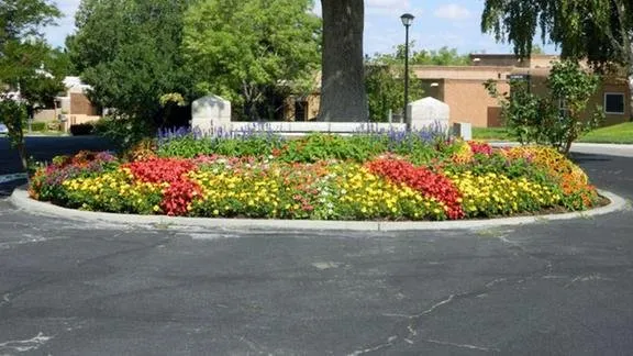 Affordable yard maintenance experts serving Albuquerque, NM - Leeco Grounds Management