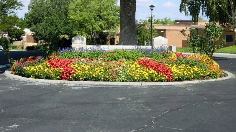 Trusted landscaping services in Albuquerque, NM - Leeco Grounds Management