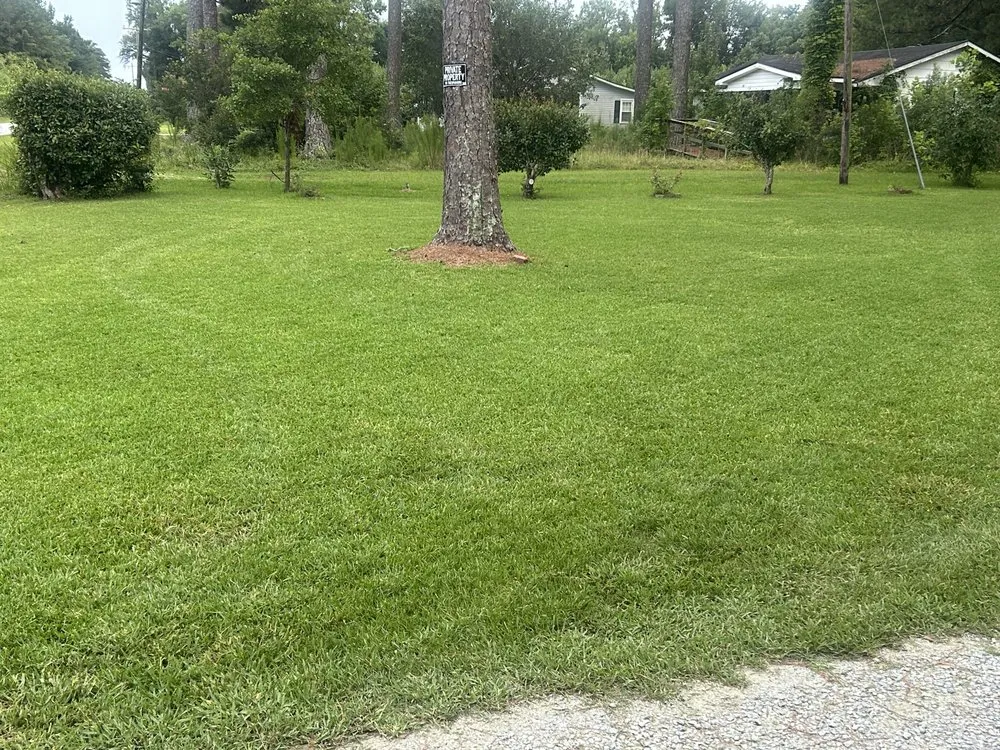 Custom lawn mowing service in Cove City, NC by Leeks Klean Kut Lawn Care