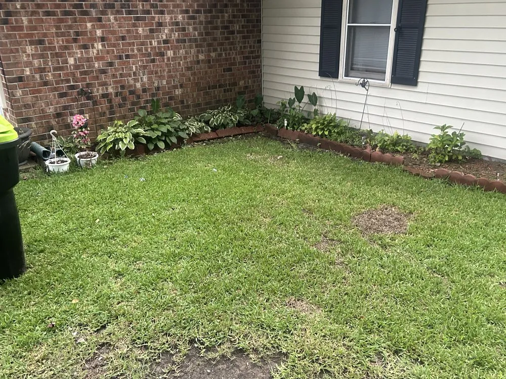 Top-rated residential landscaping experts serving Cove City, NC - Leeks Klean Kut Lawn Care