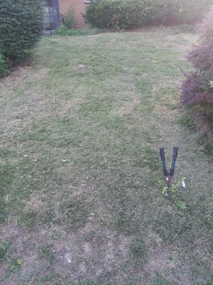 Affordable landscaping services for beautiful yards in Centreville, IL by Leek's Lawn Mower Service