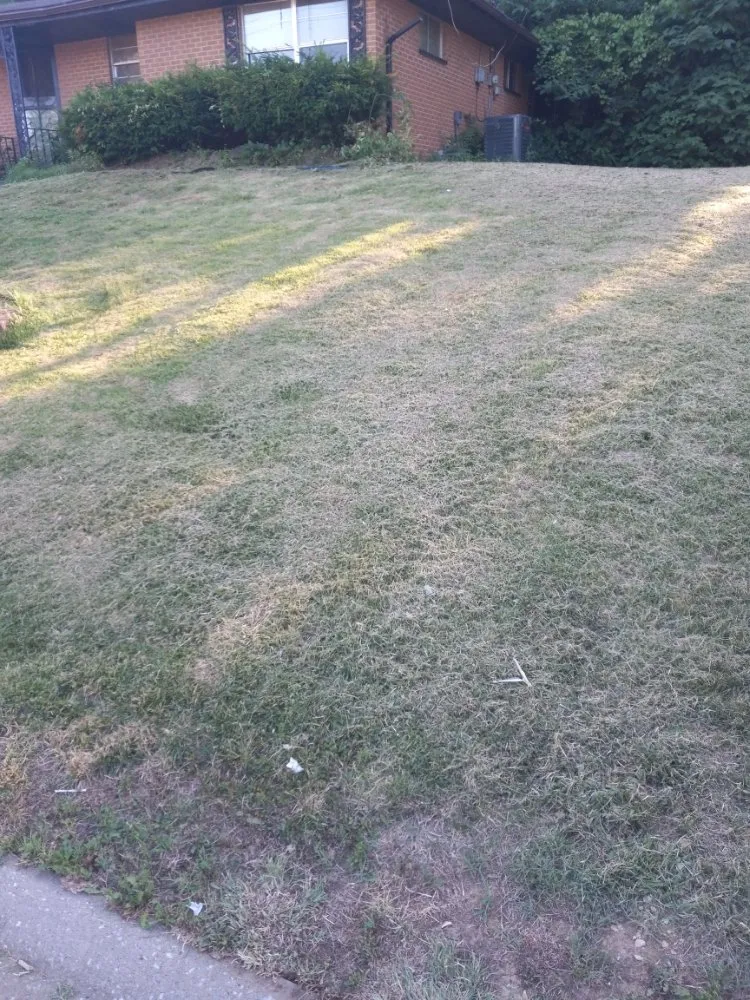 Custom yard cleanup service experts serving Centreville, IL - Leek's Lawn Mower Service