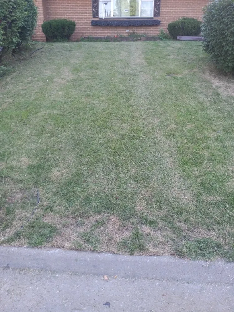 Expert garden landscaping in Centreville, IL by Leek's Lawn Mower Service