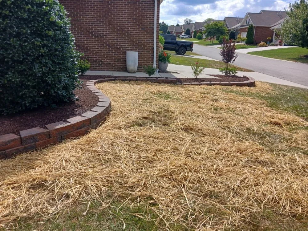 Custom lawn mowing service experts serving Lenoir City, TN - Leeks Lawncare and Landscaping