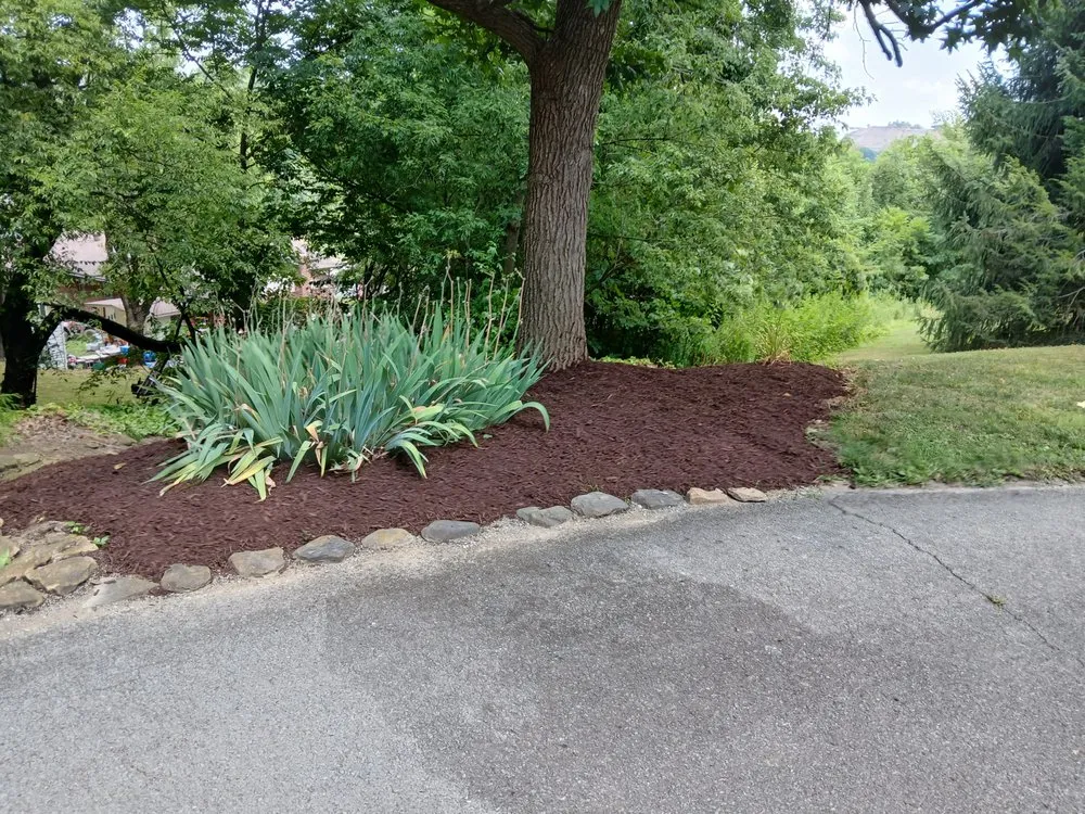 Affordable yard cleanup service in Lenoir City, TN by Leeks Lawncare and Landscaping