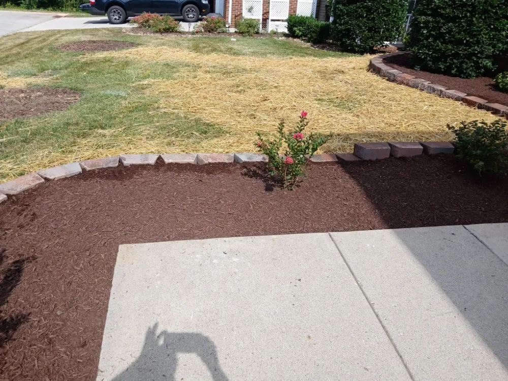 Expert yard maintenance experts serving Lenoir City, TN - Leeks Lawncare and Landscaping