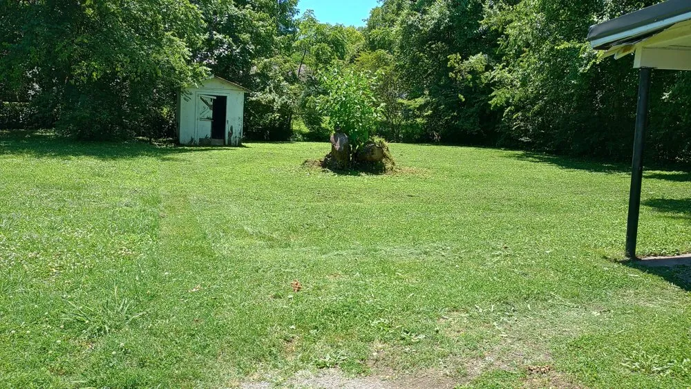 Reliable yard maintenance for beautiful yards across Pulaski, TN - Leelands Lawn And Landscaping Services