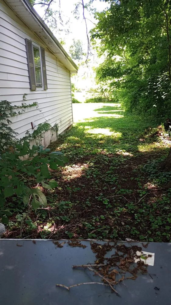 Custom yard maintenance experts serving Pulaski, TN - Leelands Lawn And Landscaping Services