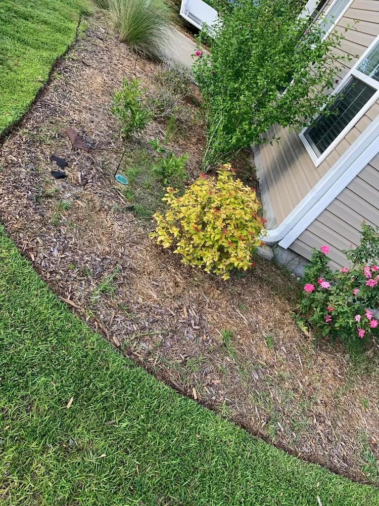 Custom lawn care service in Supply, NC - Leelee Landscaping