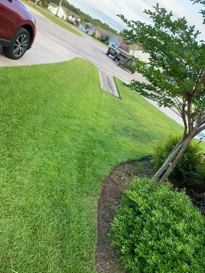 Local yard cleanup service in Supply, NC by Leelee Landscaping