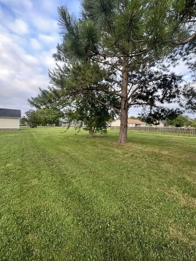 Reliable lawn mowing service for residential properties across Elizabeth City, NC - Leels Lawn Care