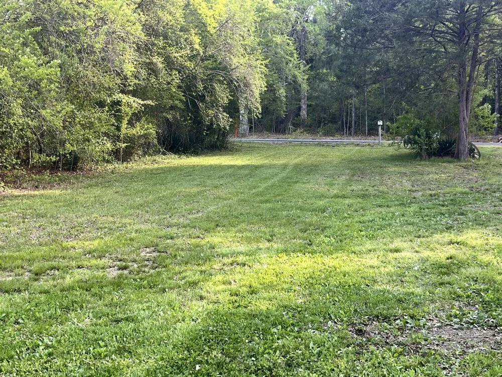 Affordable yard cleanup service in Emporia, VA by Lee’s Auto Shop & Lawn Care